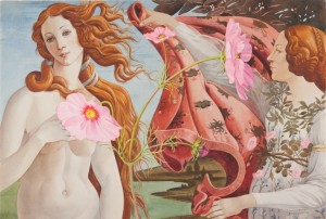 Pink Cosmos and Botticelli